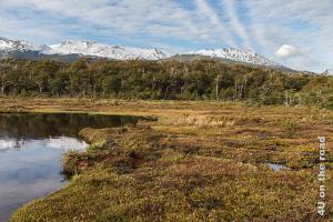 Bild Moor mit See und schneebedeckten Bergen im Hintergrund im Tierra del Fuego Nationalpark
