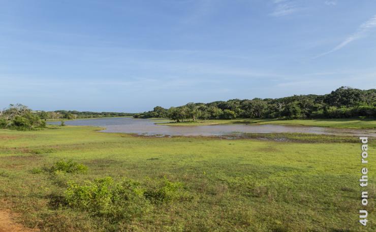 Feature Yala Nationalpark