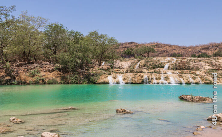 Ein grün-türkises Wasserbecken in welches kleine Kaskaden von Wasser über Kalksteinfelsen fliessen. Üppige Vegetation steht am Rand des Wasserbeckens. Feature Bild Besichtigungstipps Wadi Darbat