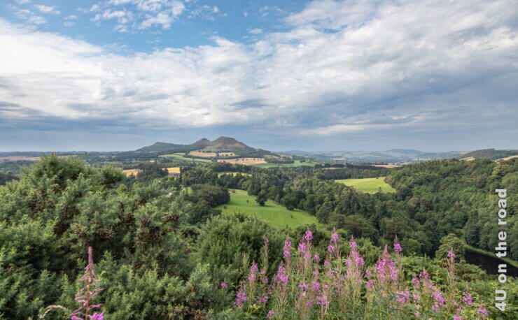 Ein Lieblingsplatz von Walter Scott zeigt drei Hügel in der Ferne an dessen Rändern sich Felder und Weiden entlanziehen. Im Vordergrund ein Moorsee und viele Bäume nur durch rosa Blütenkerzen unterbrochen. Feature Walter Scott